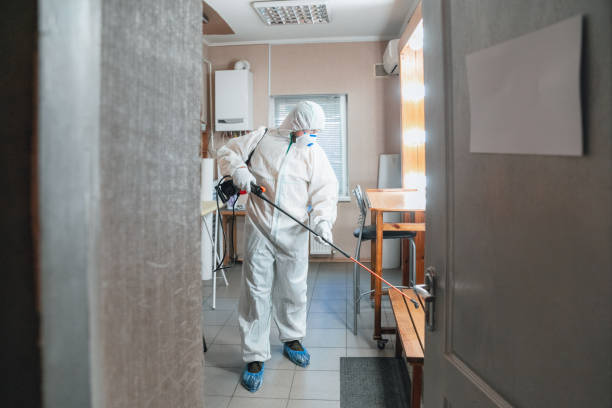 Reliable Smyrna, DE Mold Removal Solutions