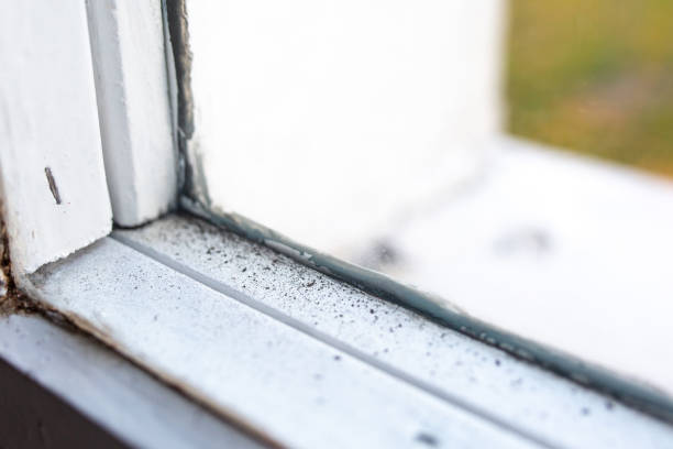 Best Indoor Air Quality Assessment  in Smyrna, DE
